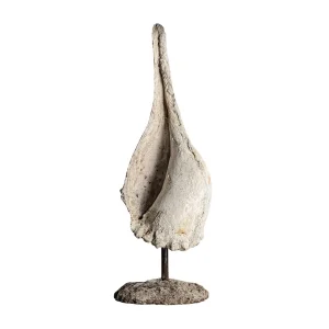 Figura decorativa concha