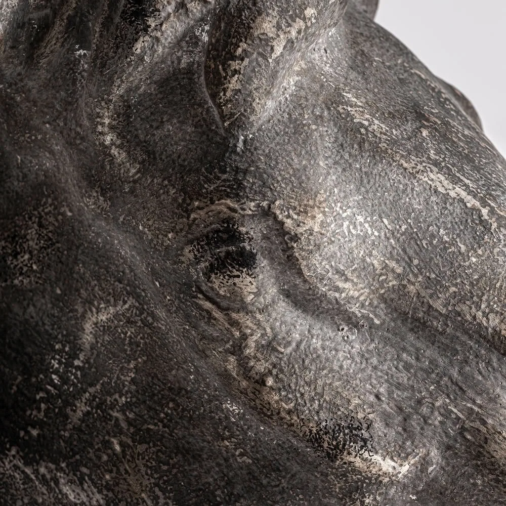 Busto caballo - Imagen 4