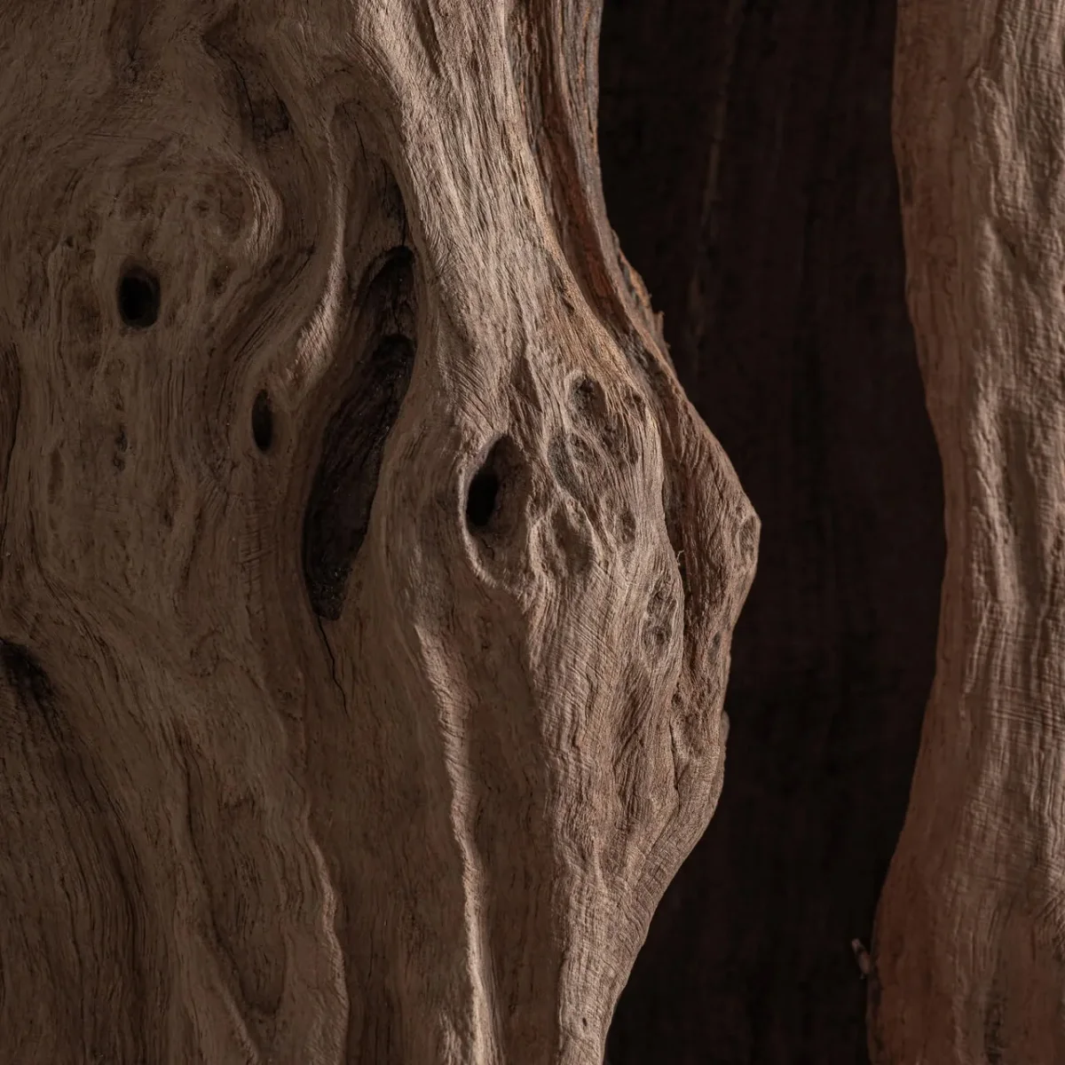 Escultura de pie de madera de teca 200 cm Balto - Imagen 4