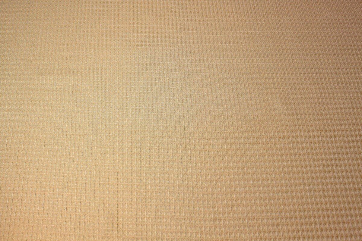 Waffle Amarillo Mostaza - Imagen 4